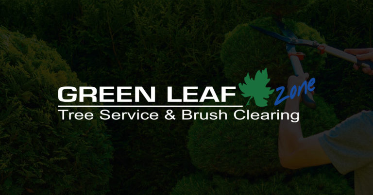 green leaf zone featured image