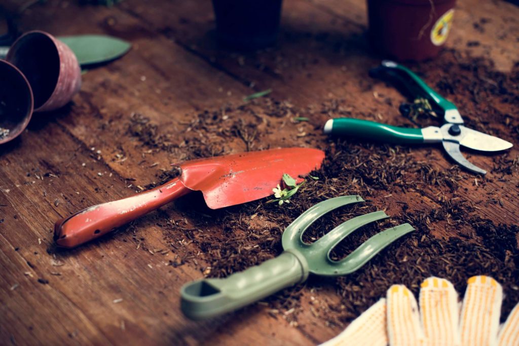 Gardening tools on a table