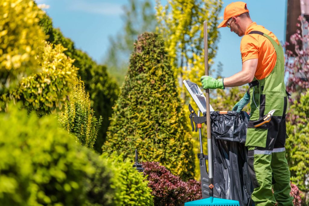 Tree-Services