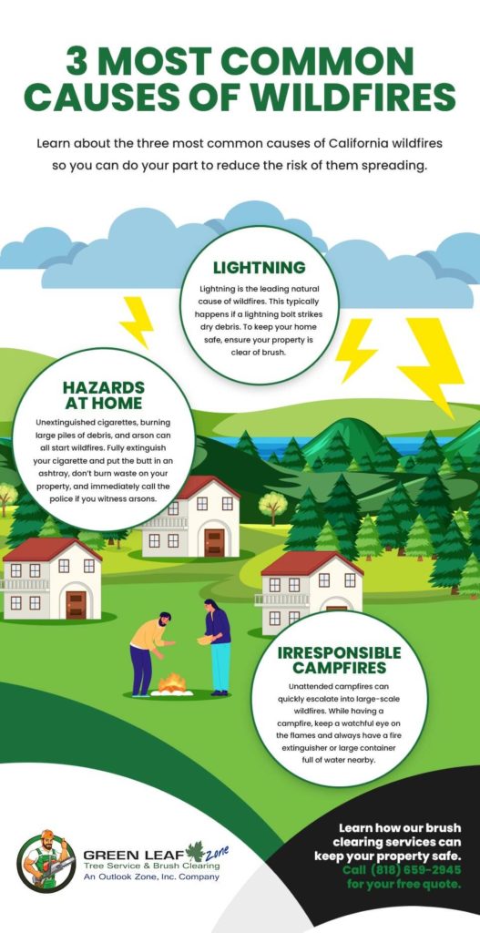 common causes of wildfires infographic
