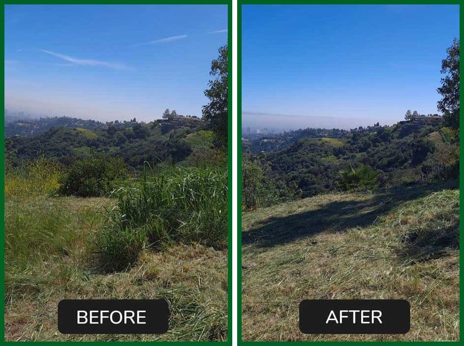 Brush Clearing by Green Leaf Zone